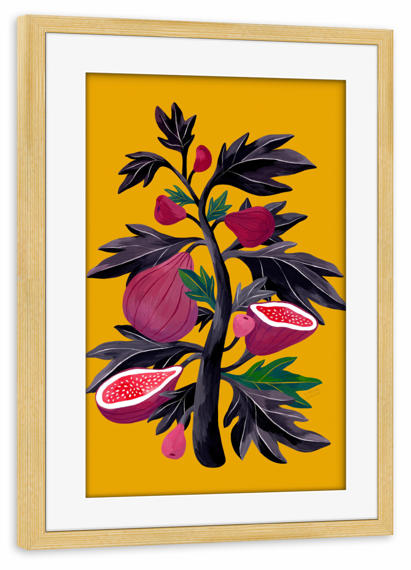 Poster mit Rahmen kiefer "Flaming Garden - Feigenbaum" artboxONE - Natur,Floral,Comic,Essen & Trinken / Obst & Gemüse