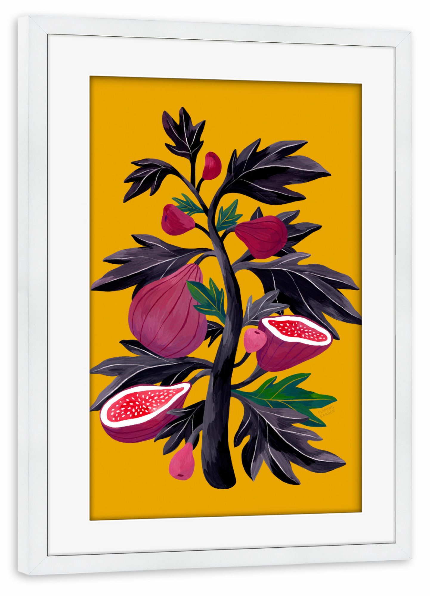 Poster mit Rahmen weiß "Flaming Garden - Feigenbaum" artboxONE - Natur,Floral,Comic,Essen & Trinken / Obst & Gemüse