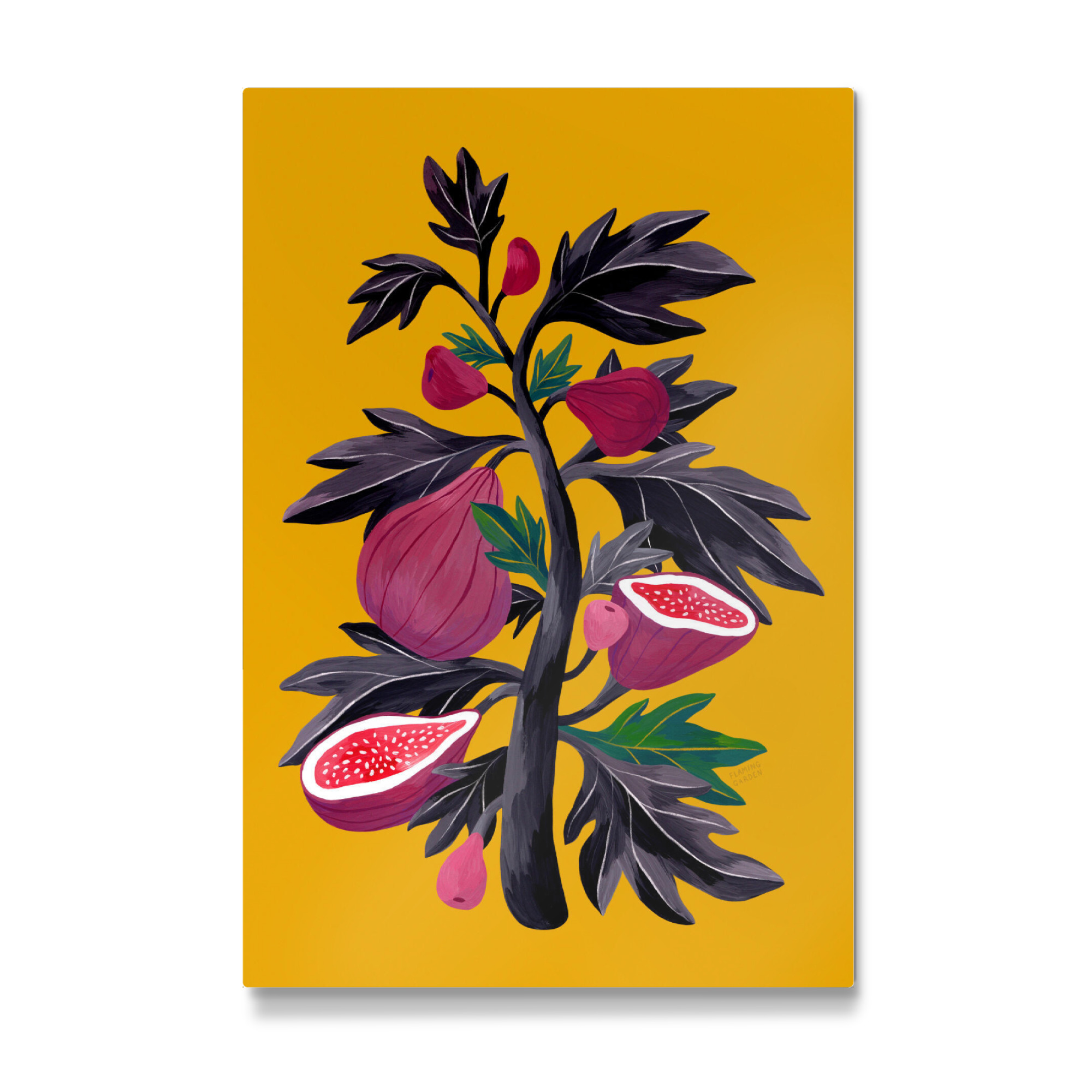 Galerie-Print "Flaming Garden - Feigenbaum" 75x50 cm artboxONE