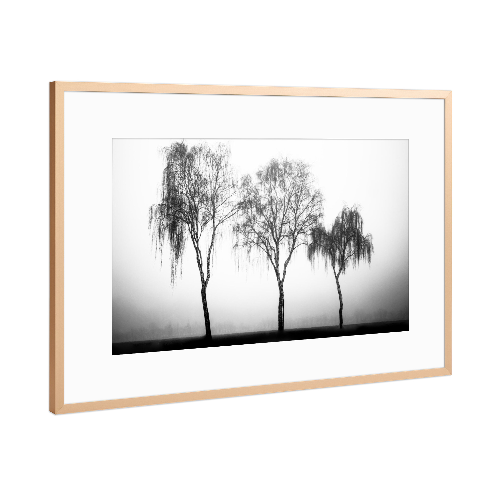 Poster mit Rahmen Kupfer "Drei an einem Nebeltag" artboxONE - Natur,Schwarzweiß