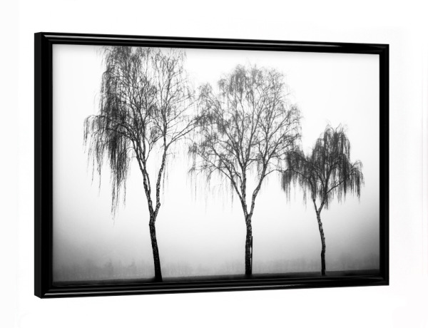 Poster mit schwarzem Rahmen "Drei an einem Nebeltag" artboxONE - Natur,Schwarzweiß