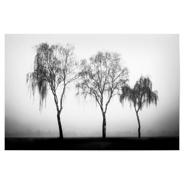 Poster 30x20 cm "Drei an einem Nebeltag" artboxONE - Natur,Schwarzweiß