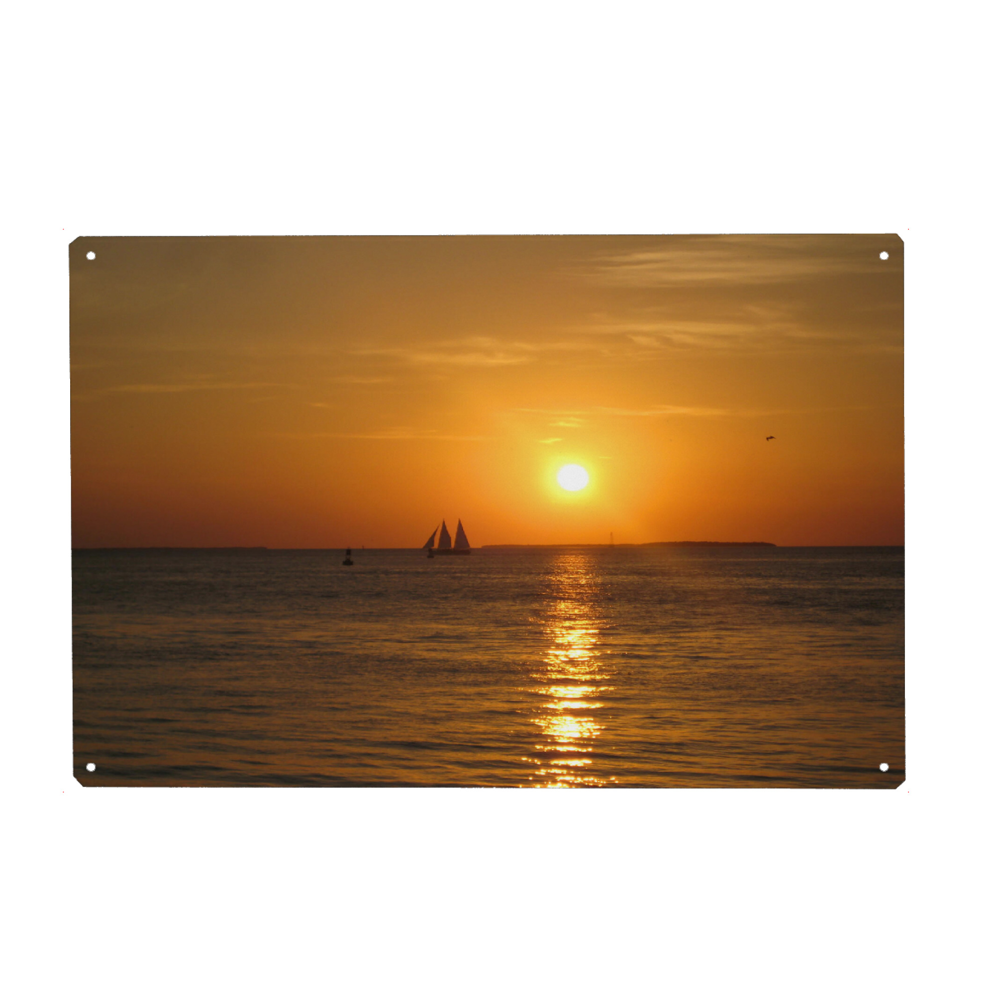 Metall Poster "Sonnenuntergang in Key West" artboxONE - Natur,Reise / Strand und Meer,Reise / Länder