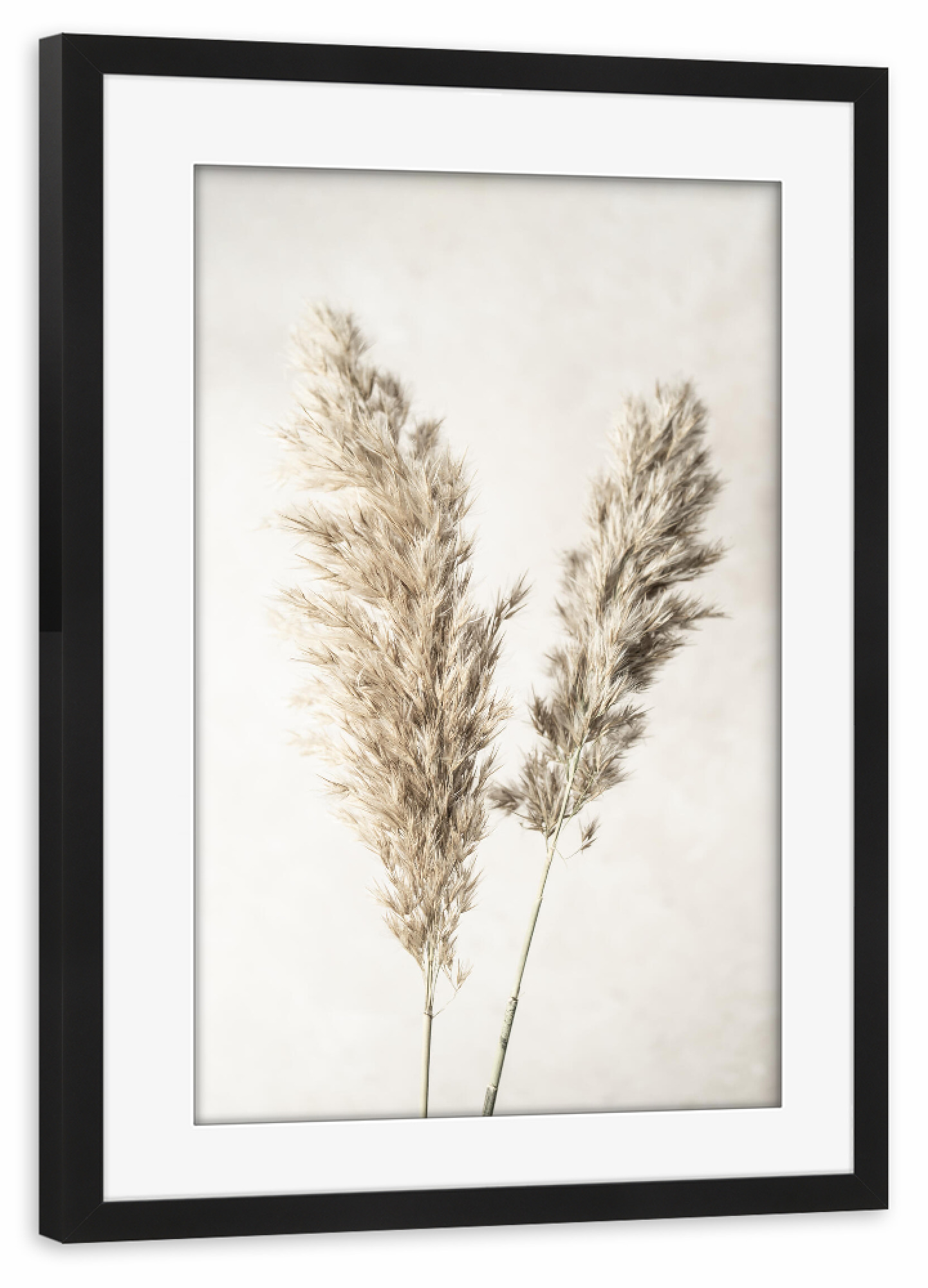 Poster mit Rahmen schwarz "Dreamy Pampas" artboxONE - Natur