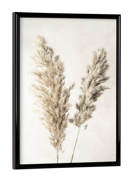 Poster mit schwarzem Rahmen "Dreamy Pampas" artboxONE - Natur