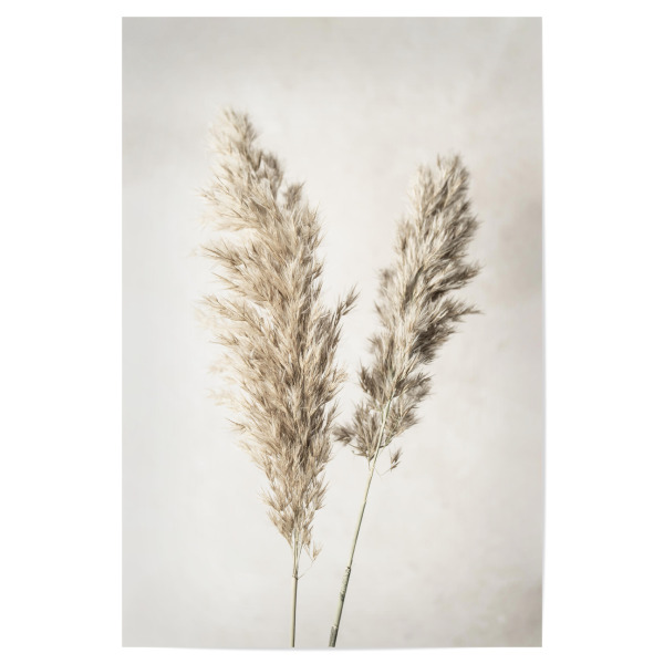Poster "Dreamy Pampas" artboxONE - Natur