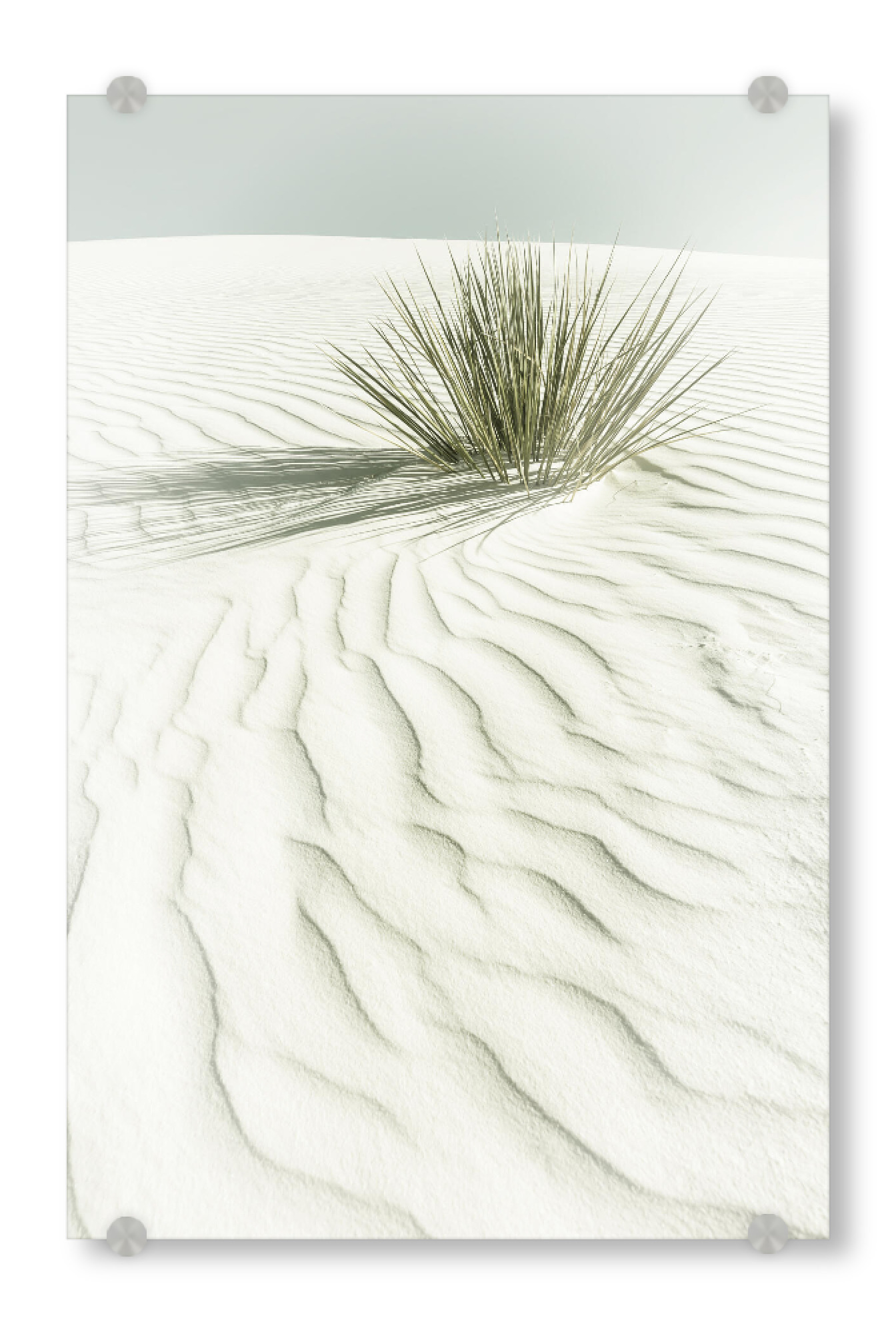Acrylglasbild "Dünen | Vintage" artboxONE - Natur,Reise / Länder