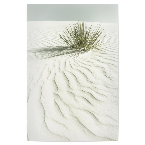Poster 30x20 cm "Dünen | Vintage" artboxONE - Natur,Reise / Länder