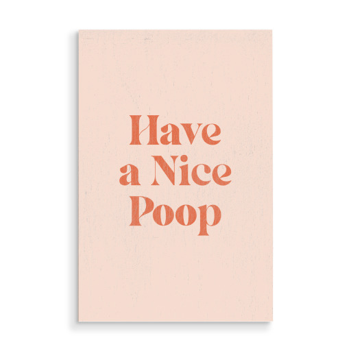 Nice Poop