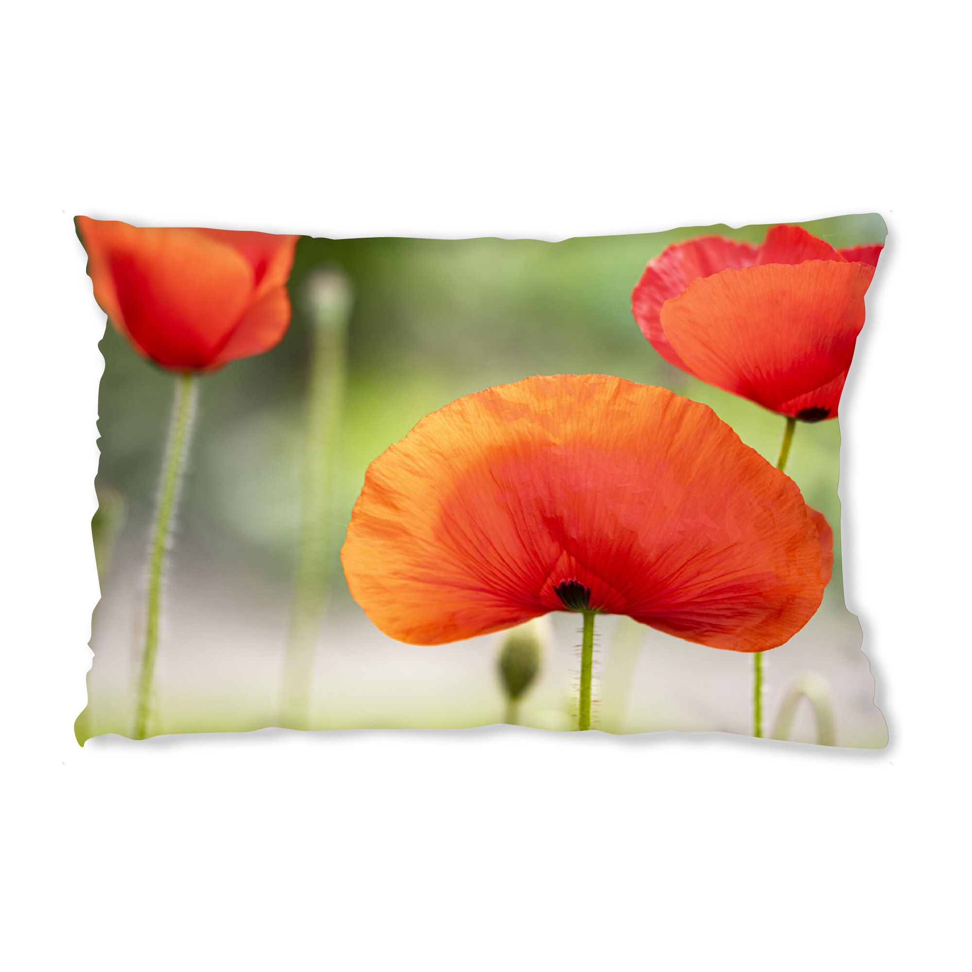 Design-Kissen "Mohnfächer" artboxONE - Natur,Floral,Für Mama