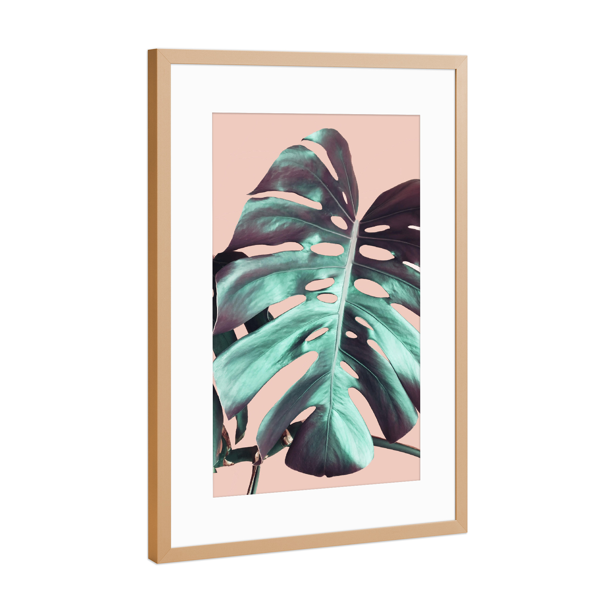 Poster mit Rahmen Kupfer "Monstera Leaf on Pink" artboxONE - Natur,Floral - Pink,Monstera,Leaf,Nature,Plant,Pflanze,Leaves,Blätter,Natur,Green,Grün