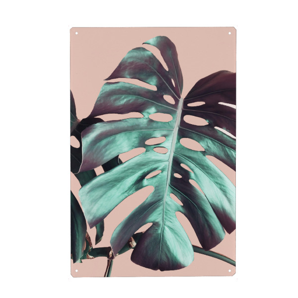 Metall Poster "Monstera Leaf on Pink" artboxONE - Natur,Floral - Pink,Monstera,Leaf,Nature,Plant,Pflanze,Leaves,Blätter,Natur,Green,Grün