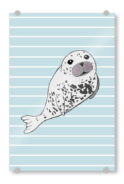 Acrylglasbild "Kleine Robbe" artboxONE - Natur,Für Kinder,Tiere,Unterwasser