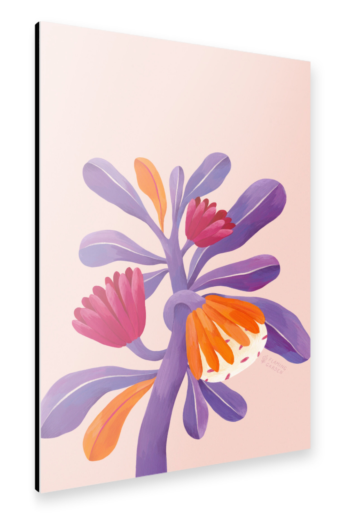 Alu-Dibond "Flaming Garden - Fantasy Plant" 75x50 cm artboxONE
