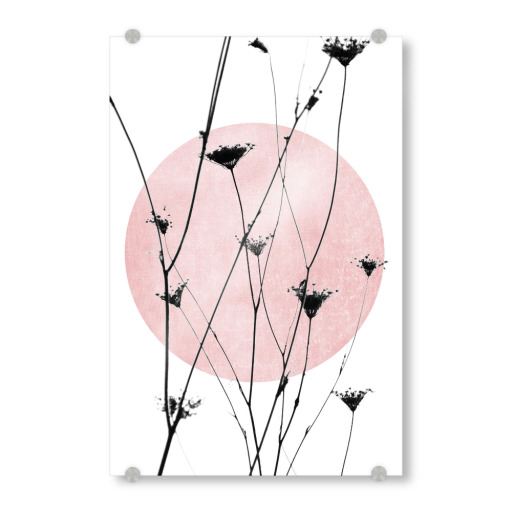 Vintage flowers rosé