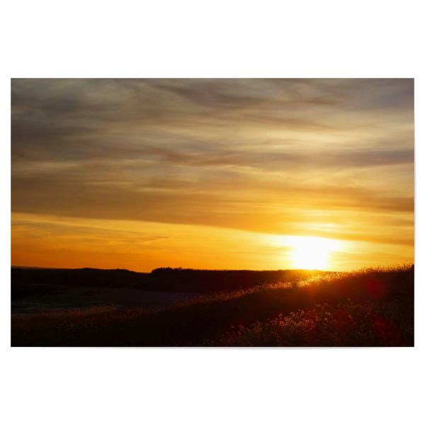 Poster "Sonnenaufgang über Feldern" artboxONE - Natur,Reise,Floral