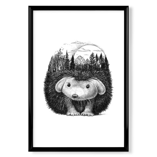 Forest hedgehog