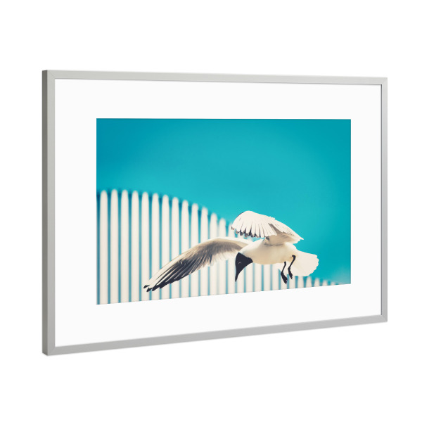 Poster mit Rahmen Silber "Die Möwe" artboxONE - Natur,Tiere - Möwe,Im flug,Sea,Gull,Tier,Animal,Flying,Flug,Fliegen