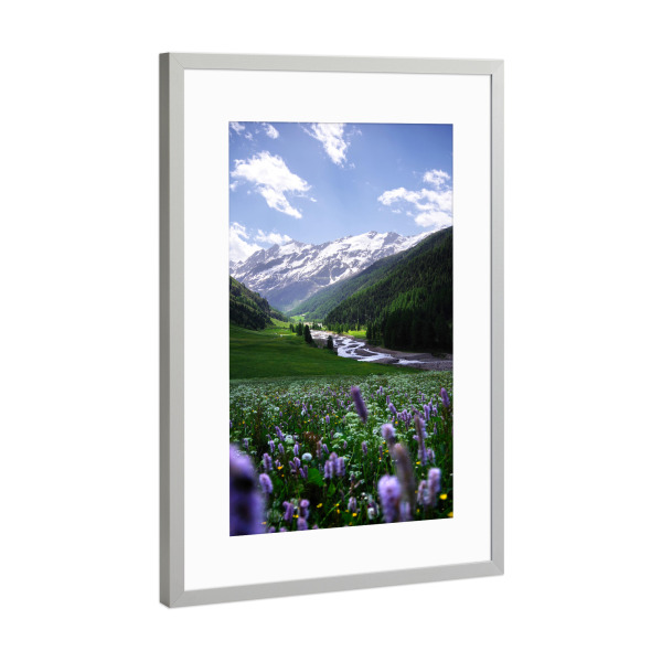Poster mit Rahmen Silber "Blumenwiese in den Bergen" artboxONE - Natur,Reise,Floral