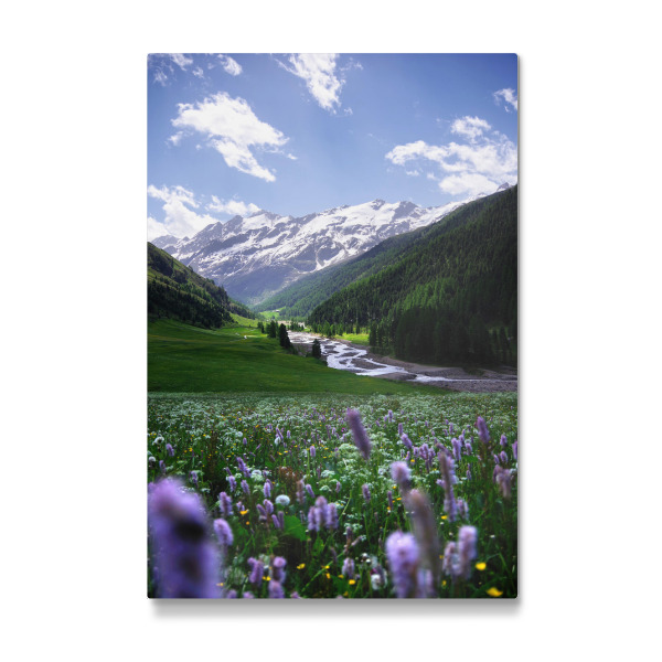 Galerie-Print "Blumenwiese in den Bergen" 30x20 cm artboxONE