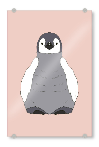 Acrylglasbild "Baby Pinguin - Rosa" artboxONE - Natur,Für Kinder,Tiere,Unterwasser