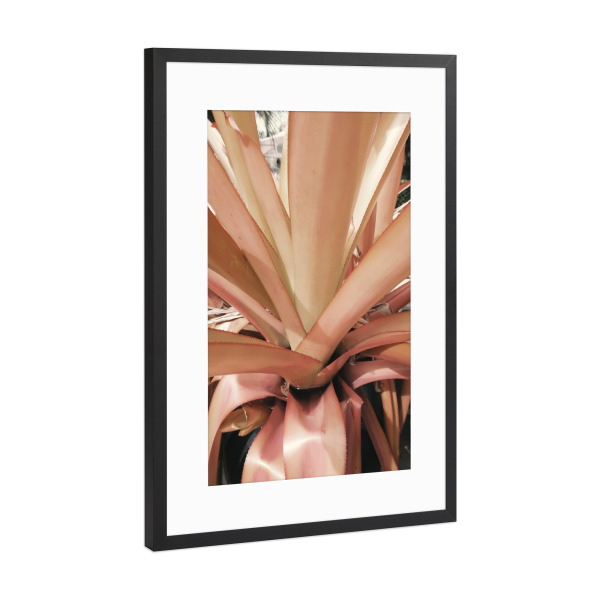 Poster mit Rahmen Schwarz (Metallic) "Pink Palm Leaves" artboxONE - Natur