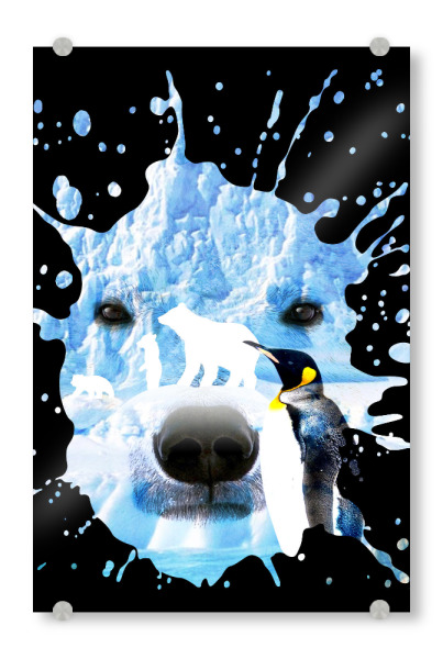 Acrylglasbild "Bear Polar with penguin" artboxONE - Tiere,Abstrakt