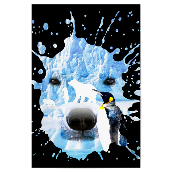 Poster "Bear Polar with penguin" artboxONE - Tiere,Abstrakt