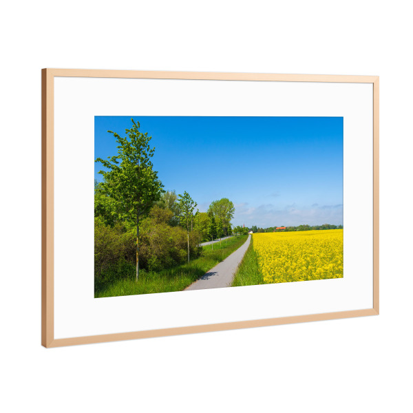 Poster mit Rahmen Kupfer "Rapsfeld, Radweg und Straße" artboxONE - Natur,Reise