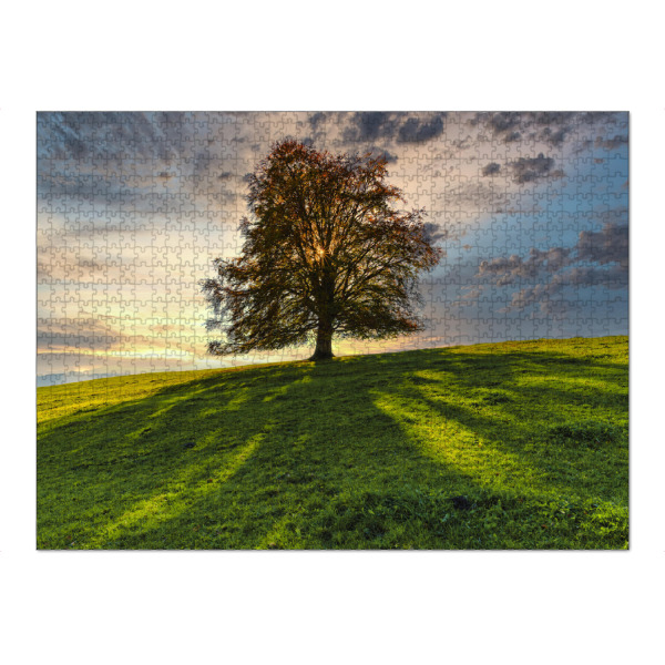 Puzzle Ravensburger "Rotbuche" artboxONE - Natur - Rotbuche,Baum,Sonnenuntergang,Allgäu,Bayern,Sunset,Natur,Nature,Landschaft,Landscape,Tree
