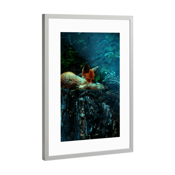 Poster mit Rahmen Silber "Schlafender Rotfuchs" artboxONE - Natur,Tiere