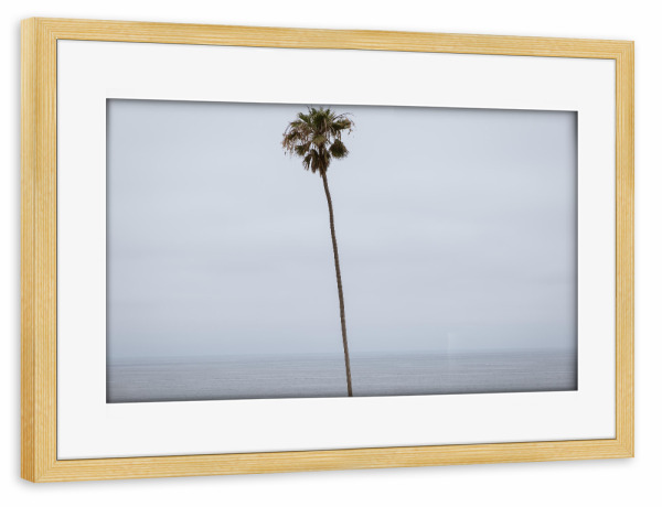 Poster mit Rahmen kiefer "Palme mit Horizont" artboxONE - Natur,Reise / Strand und Meer