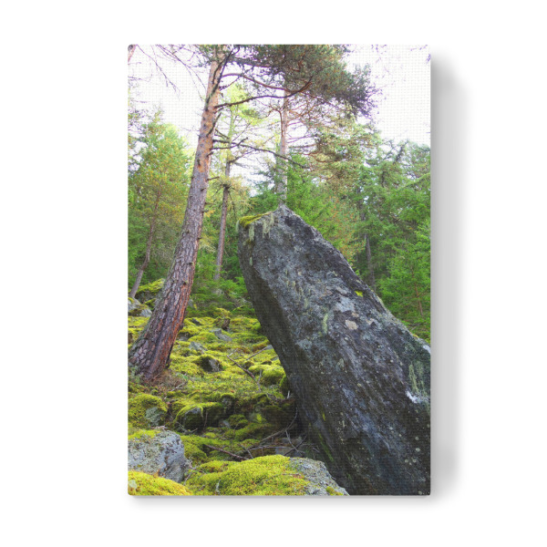 Leinwandbild "Felsen im Wald" artboxONE - Natur,Reise