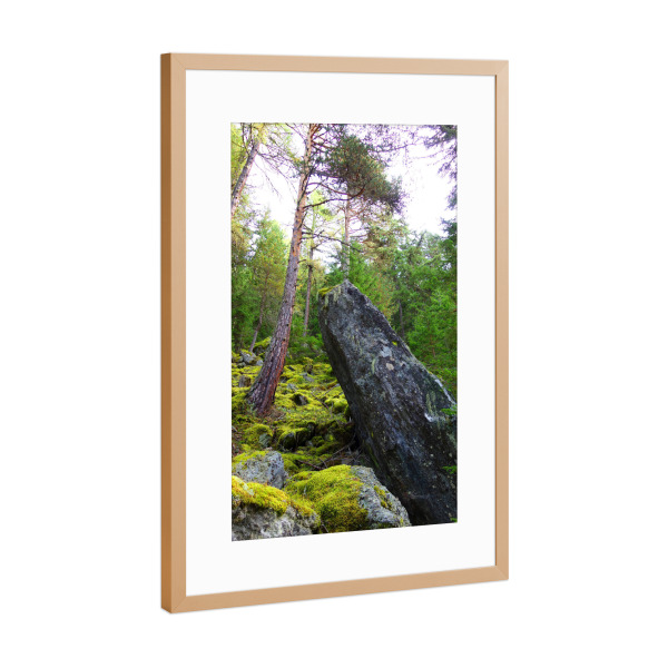Poster mit Rahmen Kupfer "Felsen im Wald" artboxONE - Natur,Reise