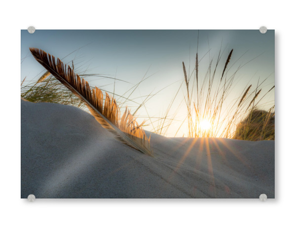 Acrylglasbild "Dünen Träume" artboxONE - Natur,Reise / Strand und Meer