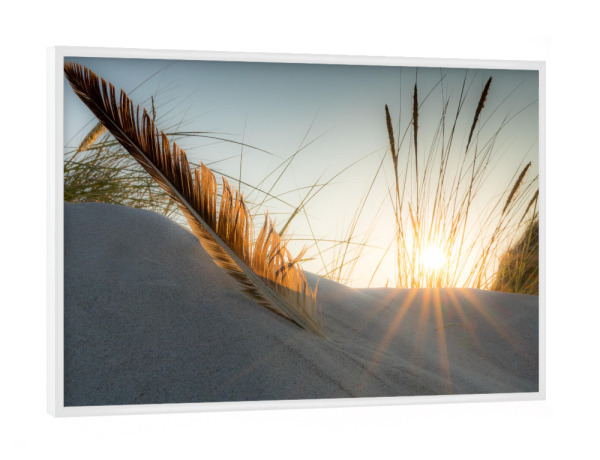 Poster mit weißem Rahmen "Dünen Träume" artboxONE - Natur,Reise / Strand und Meer