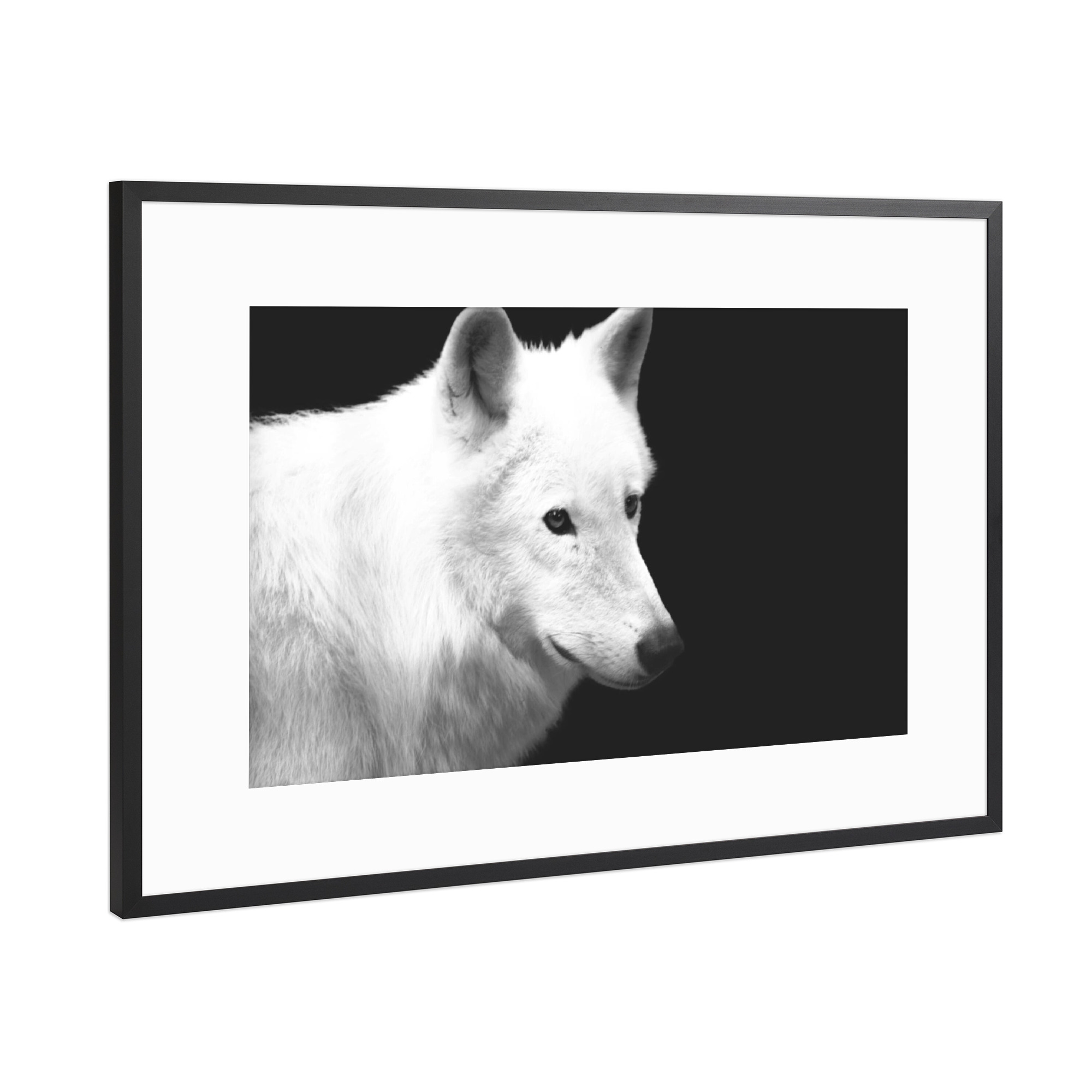 Poster mit Rahmen Schwarz (Metallic) "Wolf in schwarzweiß" artboxONE - Natur,Reise,Tiere,Schwarzweiß
