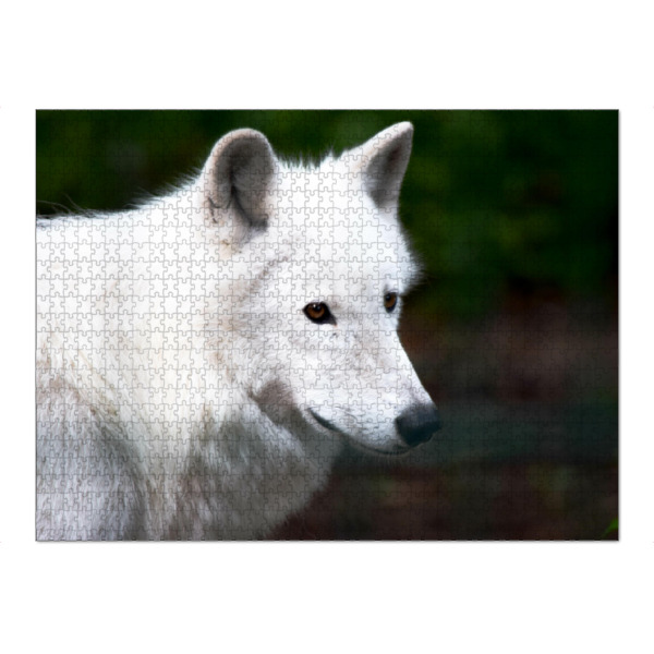 Puzzle Ravensburger "Kanadischer Wolf" artboxONE - Natur,Reise,Tiere