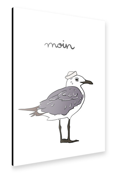 Alu-Dibond "Moin Möwe" 30x20 cm artboxONE