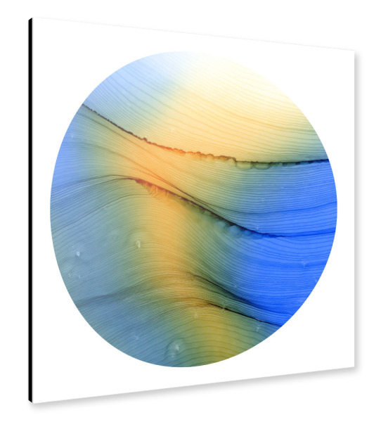Alu-Dibond "Day light - o - kunst" 30x30 cm artboxONE