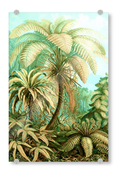 Acrylglasbild "Vintage Tropical | Jungle" artboxONE - Natur