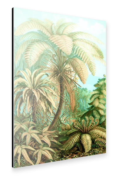 Alu-Dibond "Vintage Tropical | Jungle" 30x20 cm artboxONE
