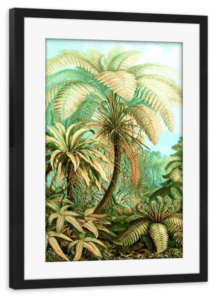 Poster mit Rahmen schwarz "Vintage Tropical | Jungle" artboxONE - Natur