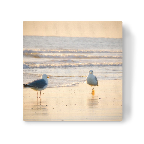 Leinwandbild "Möwenspaziergang am Strand" artboxONE - Natur,Tiere,Reise / Strand und Meer
