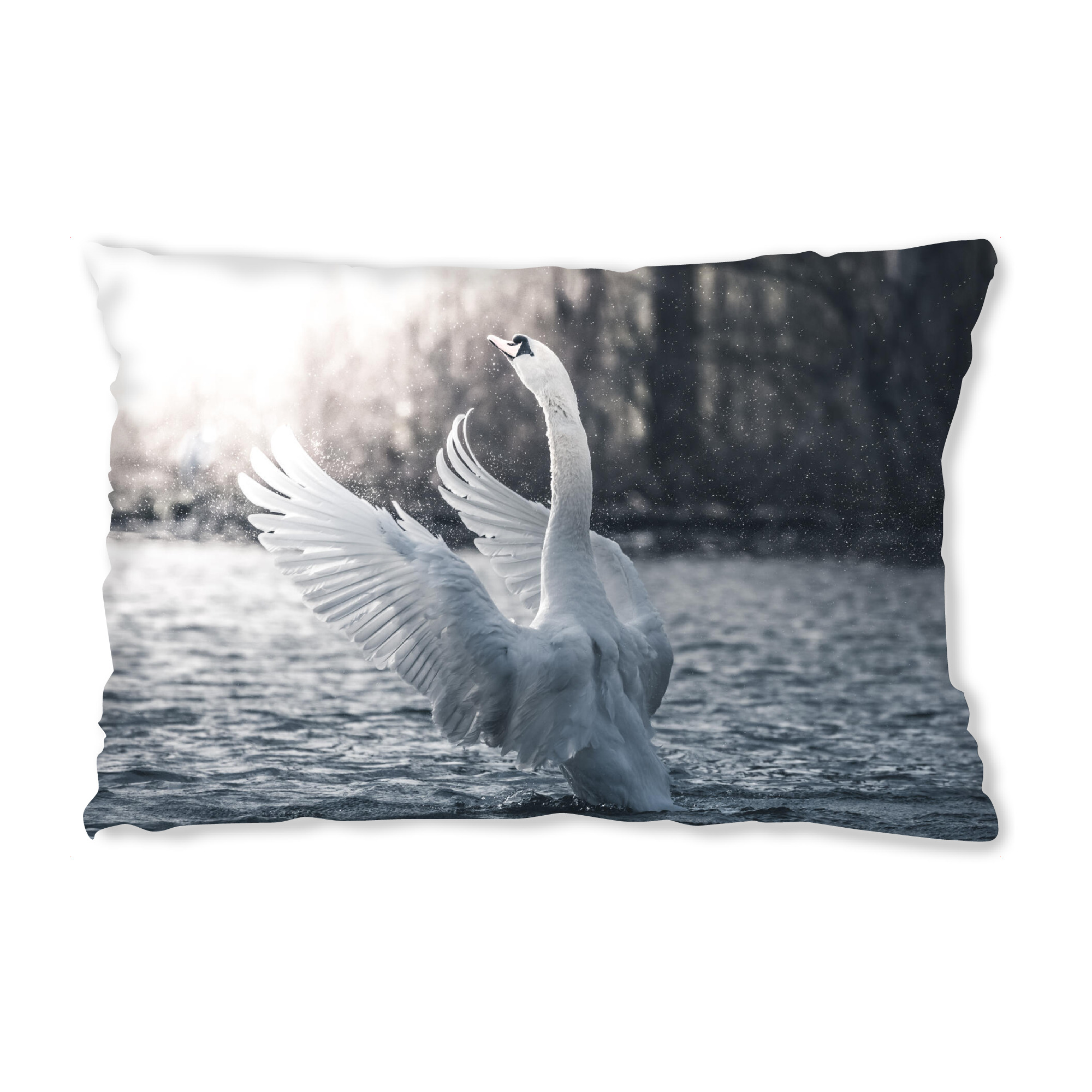 Design-Kissen "Great Swan" artboxONE - Natur,Tiere