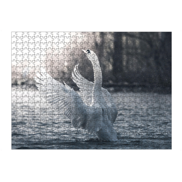 Puzzle Ravensburger "Great Swan" artboxONE - Natur,Tiere