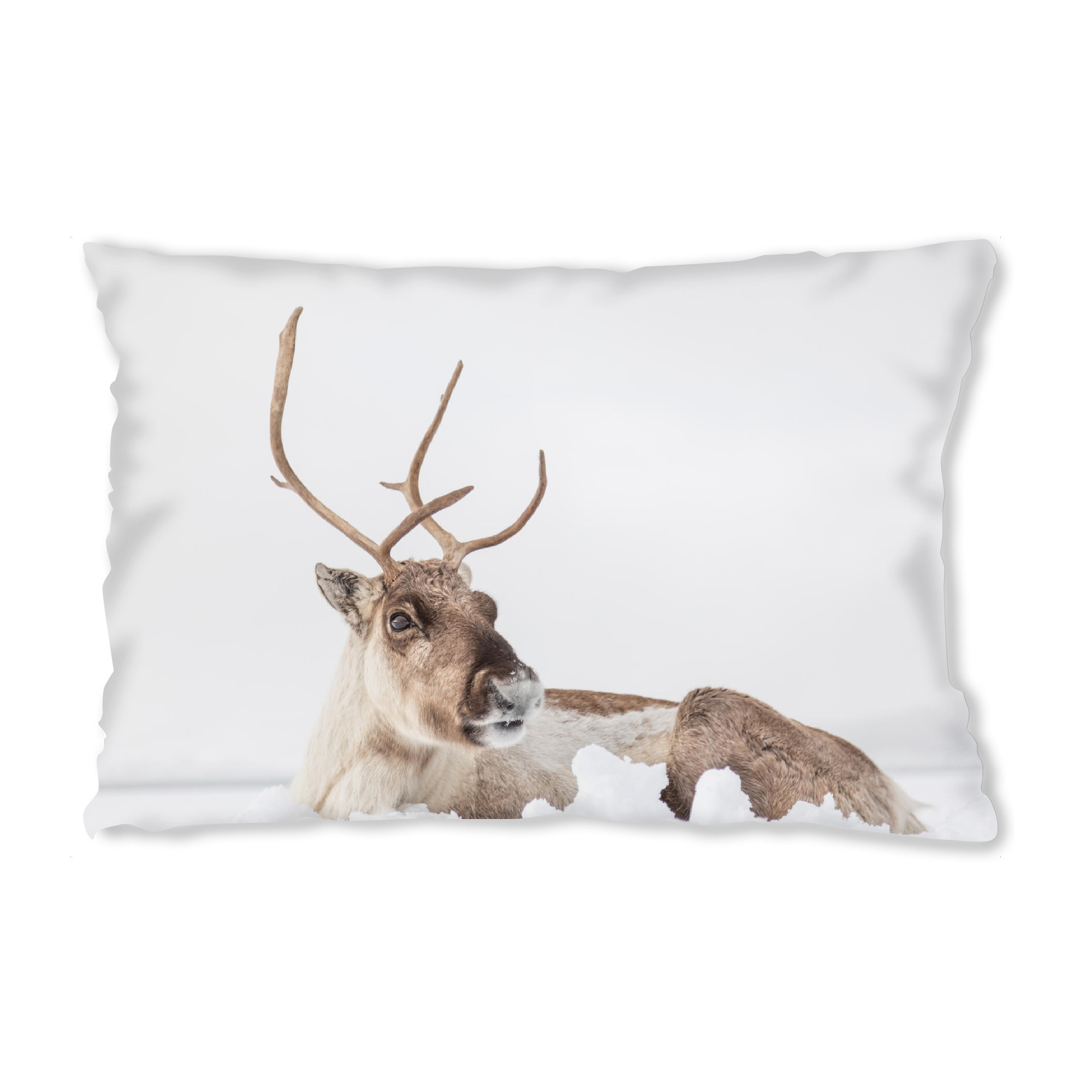 Design-Kissen "Rentier im Schnee" artboxONE - Natur,Tiere