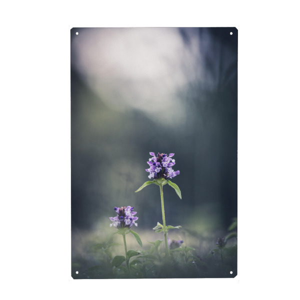 Holzbild "Prunella" artboxONE - Natur,Floral