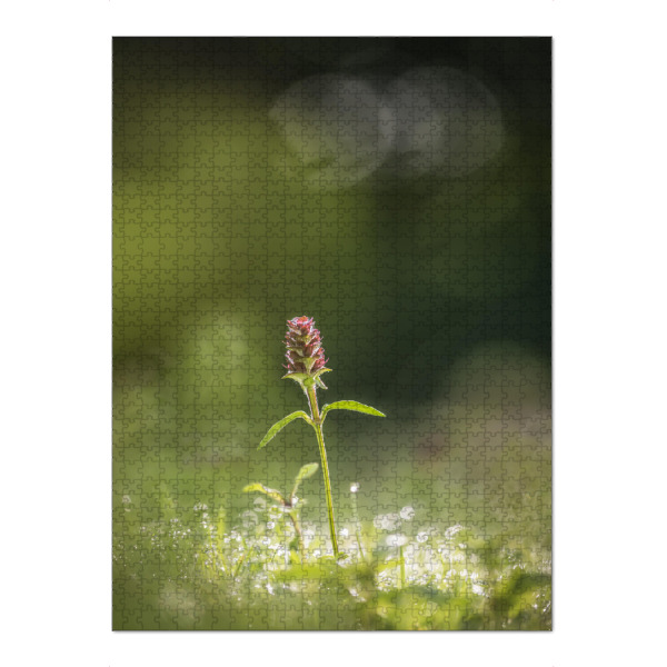 Puzzle Ravensburger "Kleine Braunelle" artboxONE - Natur,Floral