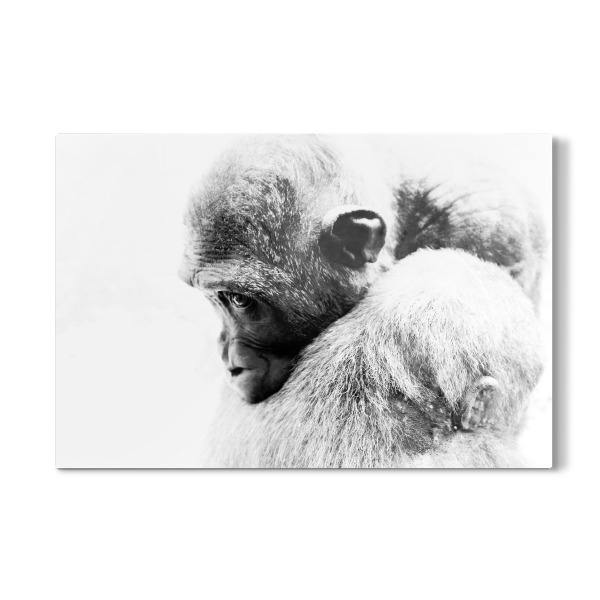 Galerie-Print "Nie allein" 30x20 cm artboxONE